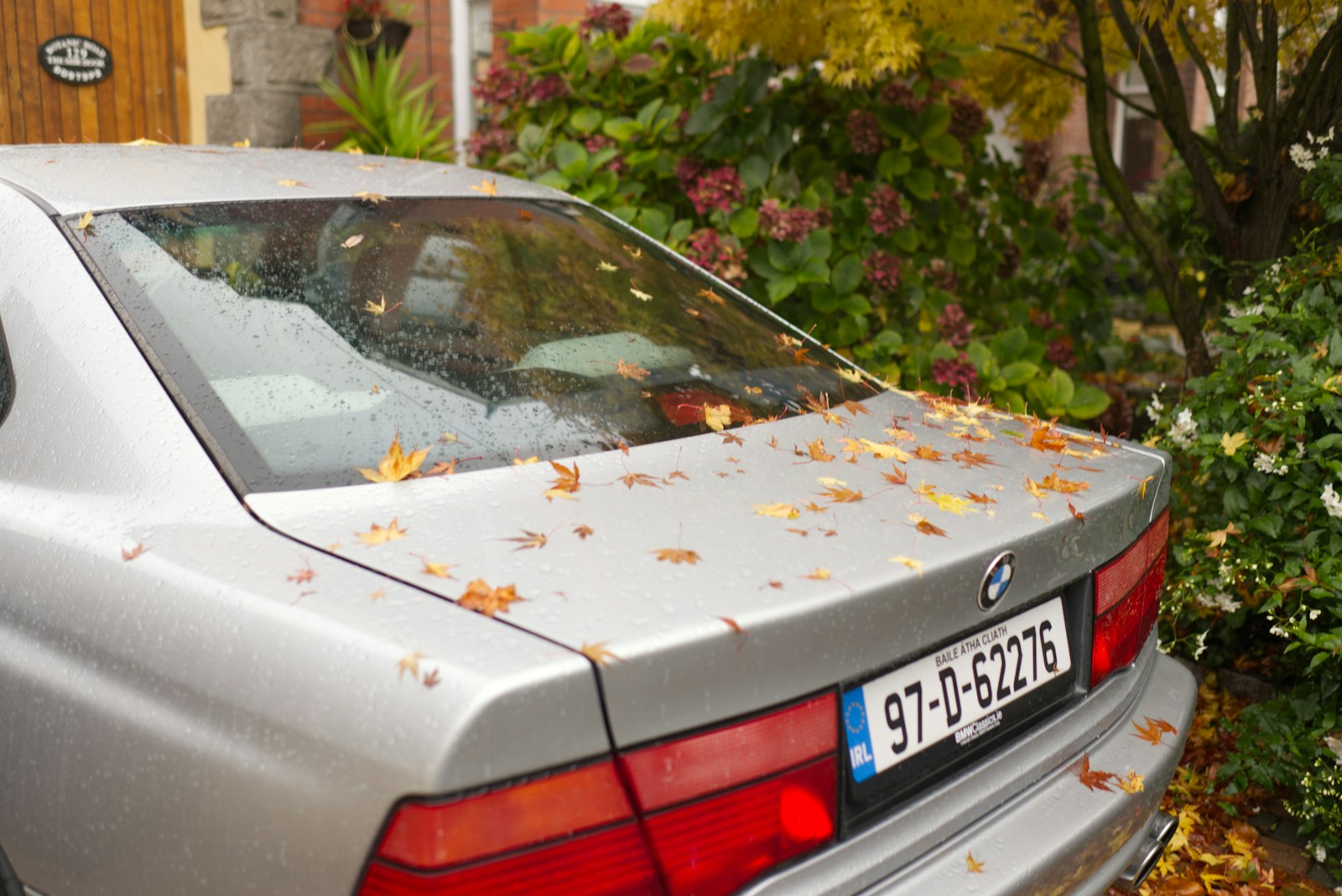 Silver car covered in autumn leaves